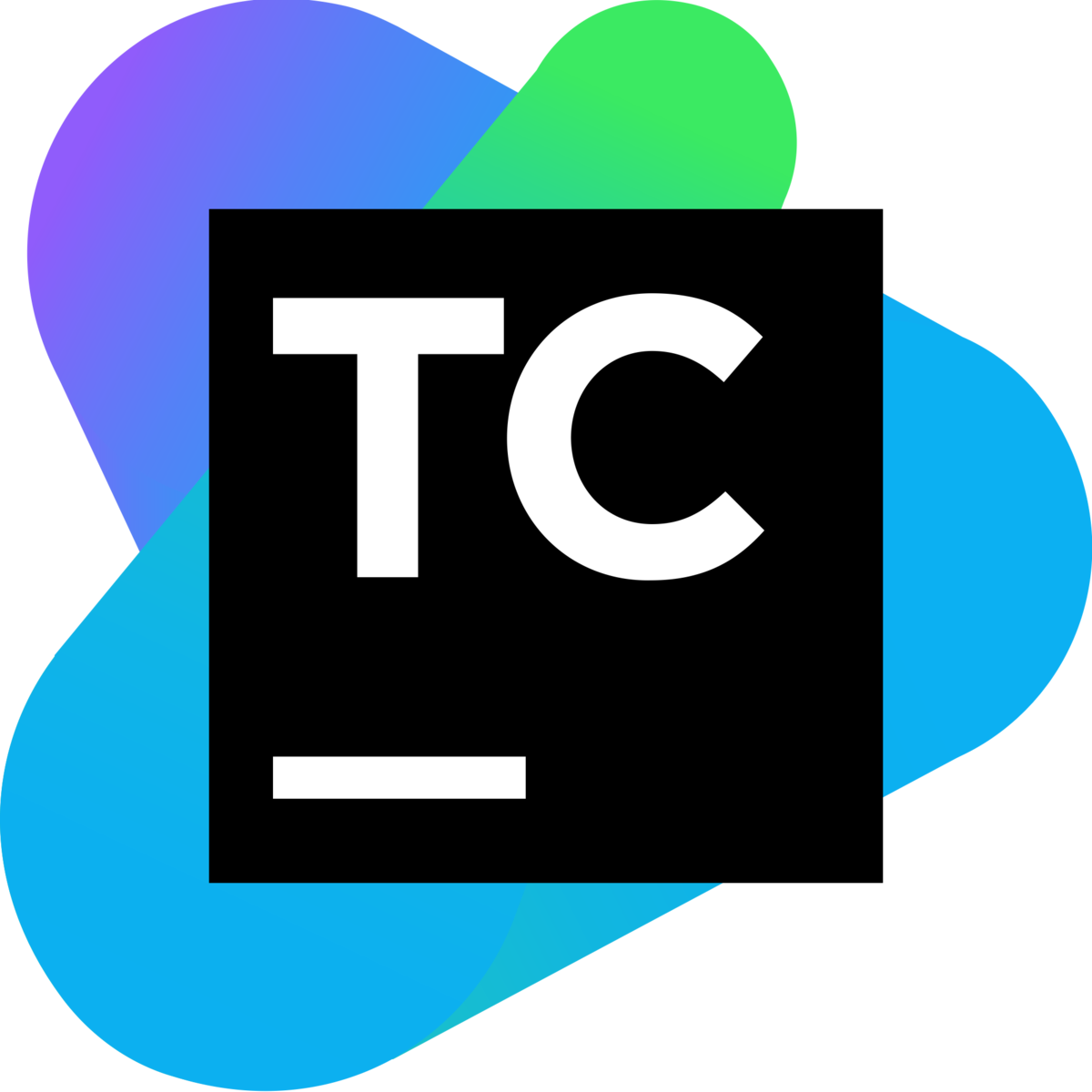 Logo Teamcty